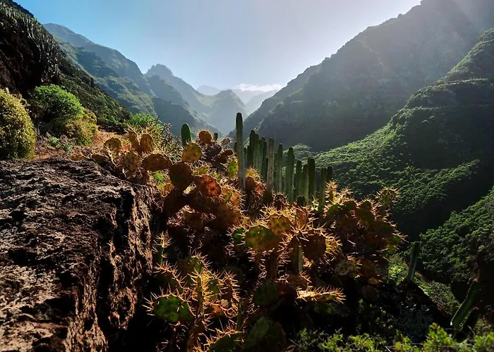 Bufadero Apartamento