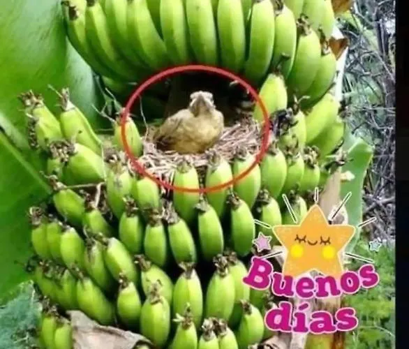 Apartamento Bufadero