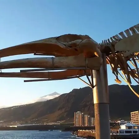 Apartment Bufadero Los Silos