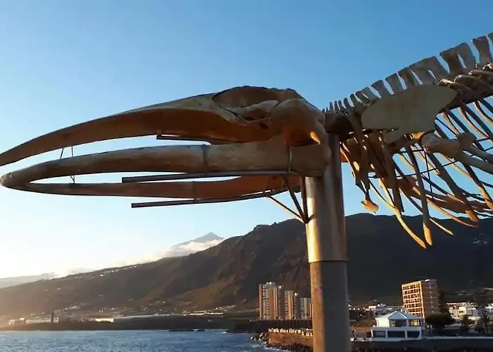 Appartamento Bufadero Los Silos