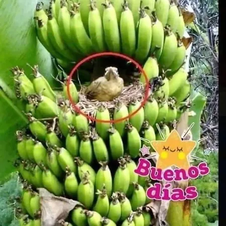 Apartamento Bufadero