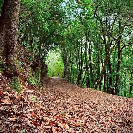 Apartamento Bufadero